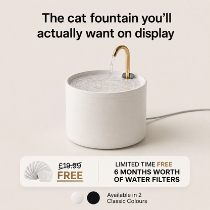 Cat Water Fountain