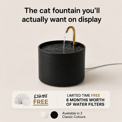 Cat Water Fountain